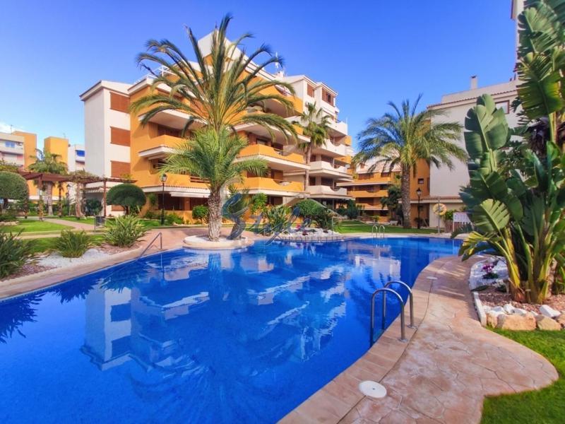 Punta Prima Nice Apartment With Sea Views Торрев'єха Екстер'єр фото