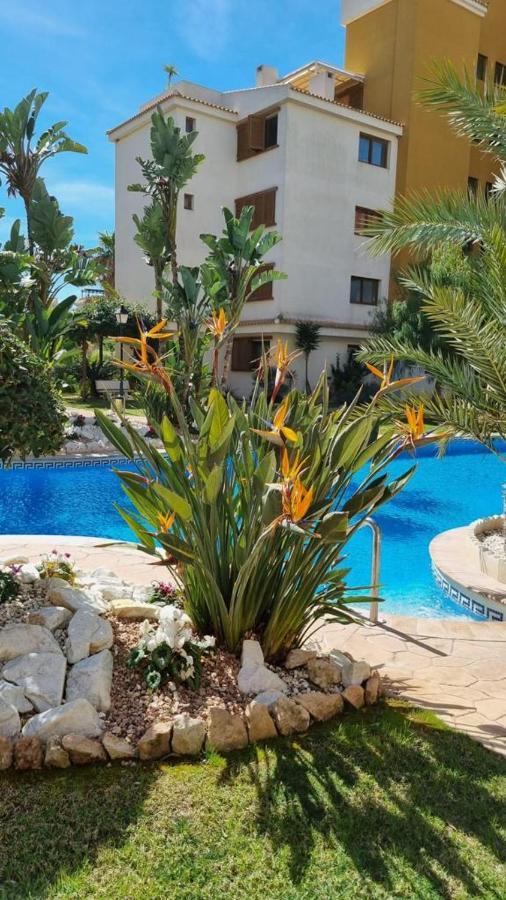 Punta Prima Nice Apartment With Sea Views Торрев'єха Екстер'єр фото